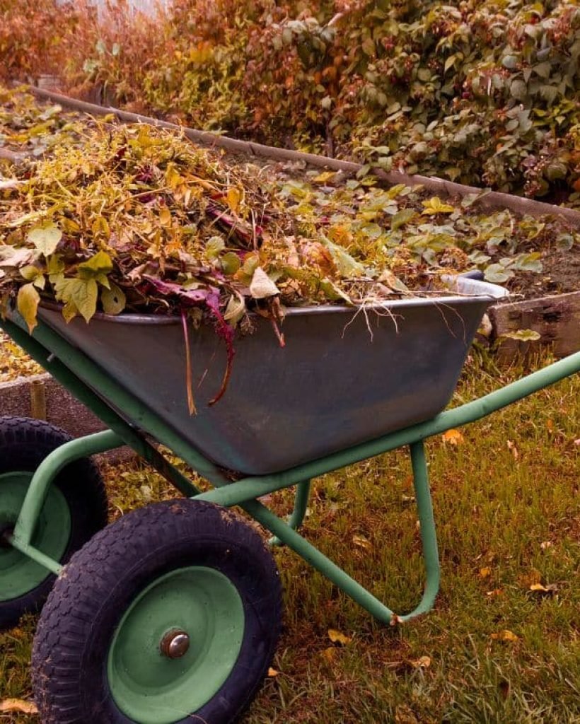 old-garden-debris